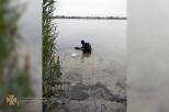 Водолаз 
