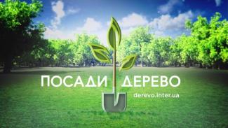 «Интер» начинает акцию «Посади дерево»