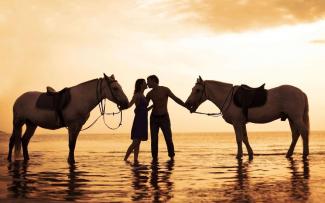 любовь лошади