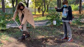 Вже 260 дерев висадили в місті на території підпорядкованих закладів департаменту соціальної політики в рамках декадника # Дніпро_квітучий