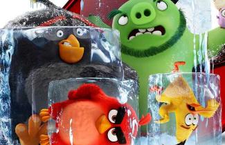 Angry Birds в кино, кадр из мультфильма
