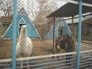 зоопарк