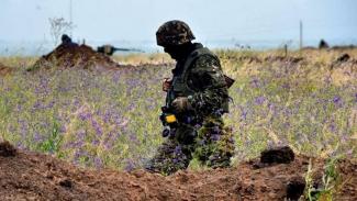 Военные зафиксировали два нарушения перемирия