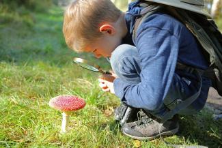 В Днепре спасают ребенка с тяжелым отравлением грибами