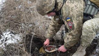 В Золотом начался процесс разминирования