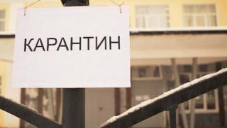 карантин