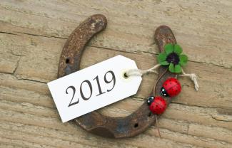 2019 год