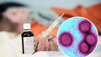 Врачи предупредили о новых штаммах гриппа: последствия непредсказуемые