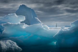 В Антарктиде таяние ледников открыло неизвестный гранитный остров