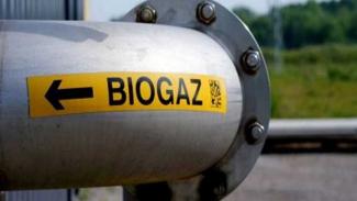 биогазовая электростанция
