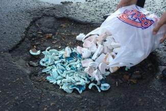 Скончалась от коронавируса звезда фильма "Челюсти"
