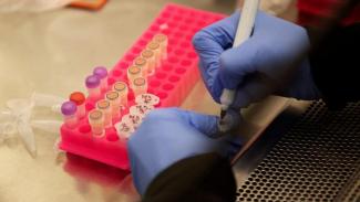 В Украине проведут всеобщее тестирование на коронавирус