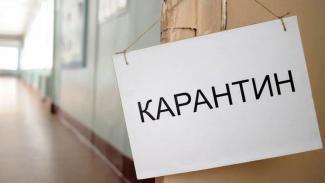 карантин