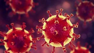 Сколько времени коронавирус может жить в организме человека