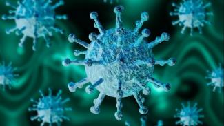 8 правил для предотвращения распространения коронавируса