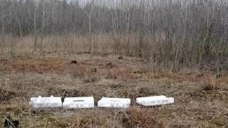 Житель Днепра попался на выбросе мусора в лесополосе