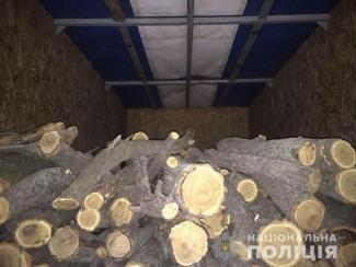 фото полиции