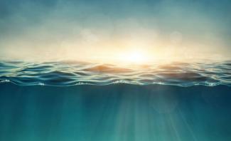 Что будет, если выпить морскую воду: последствия поражают