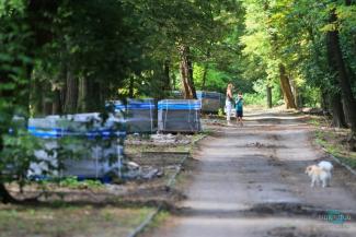 В парке на Днепропетровщине нашли труп парня