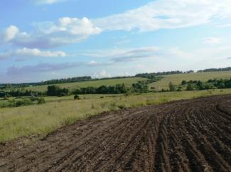 Опасная находка в Чернобыле