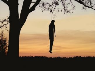мужчина весит на дереве