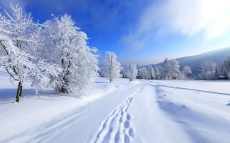зима, фото из открытых источников