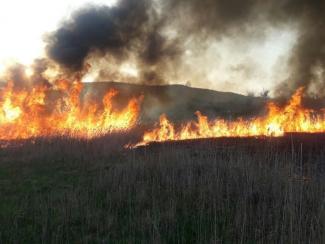 загорелась трава, фото из открытых источников