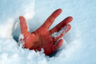 рука в снегу, фото из открытых источников