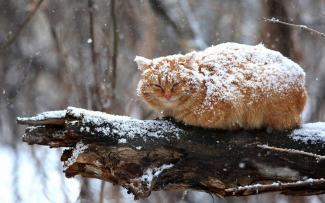 Погода на Днепропетровщине