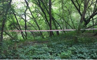 На Днепропетровщине возле рынка найден труп без головы