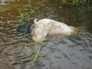 труп в воде