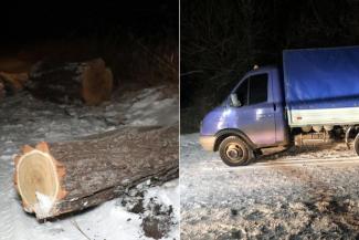 Под Мариуполем полицейские застрелили лесоруба