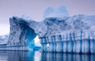 В Антарктиде нашли цветной снег: что происходит