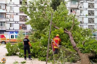 Дерево упало на детскую площадку