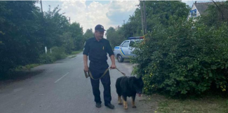 В Новомосковском районе служебная собака за час нашла пропавшую девочку