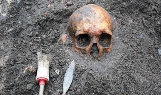 Под Днепром в поле обнаружили человеческие останки