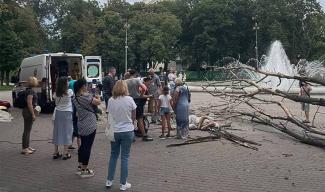 В Днепре в сквере Героев на мужчину рухнуло дерево (Фото)