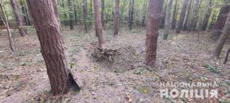 В Черновицкой области в лесу мужчина подорвался на старом снаряде