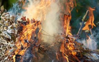 На Днепропетровщине пенсионерка жгла траву и сгорела в костре 