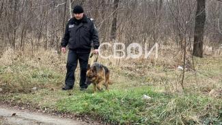 В Кривом Роге возле училища обнаружили человеческие останки