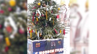 В спальном районе Днепра женщины пытались украсть "народную елку"