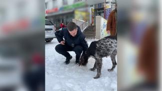 Патрульные Днепра спасли от гибели бродячую собаку