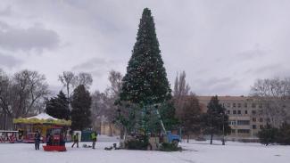 В Днепре начали убирать новогодние елки (Фото)