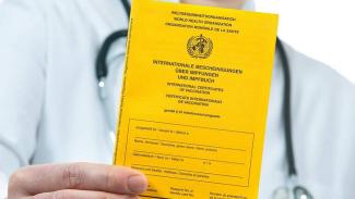В Никопольском районе мужчина самостоятельно подделал сертификат о вакцинации: его будут судить