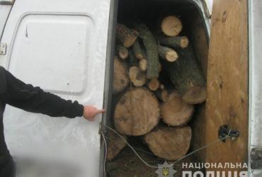 фото полиции