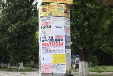 местная власть