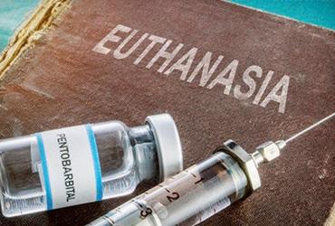 Эвтаназия