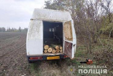 фото полиции