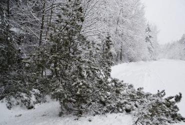 снегопад в днепре