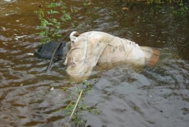 труп в реке